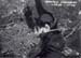 1944.aerial.view.mantova